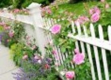 Kwikfynd Garden fencing
bridgecreek